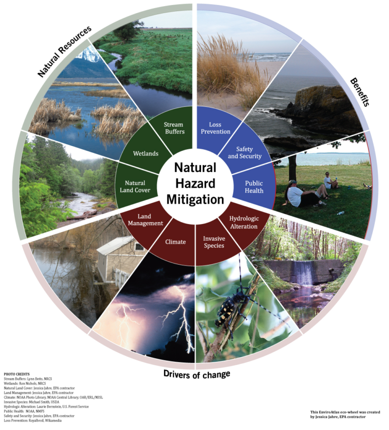 Natural Disaster Risk Mitigation: Insights from Experts